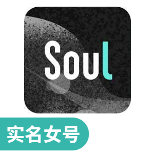 【高权重引流】Soul 实名认证女号 | 纯净实卡注册/高质量新号/支持 API 接码换绑/自带社交属性/低风控更稳定 - 好多号