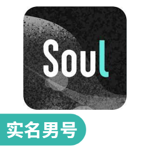 【引流高权重】Soul 实名认证男号 | 纯净实卡注册/新号初始/支持 API 接码换绑/高成活不封号/即买即用 - 好多号
